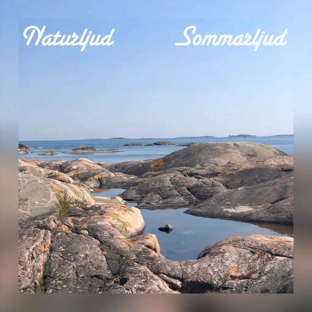Vågskvalp mot strand skärgård