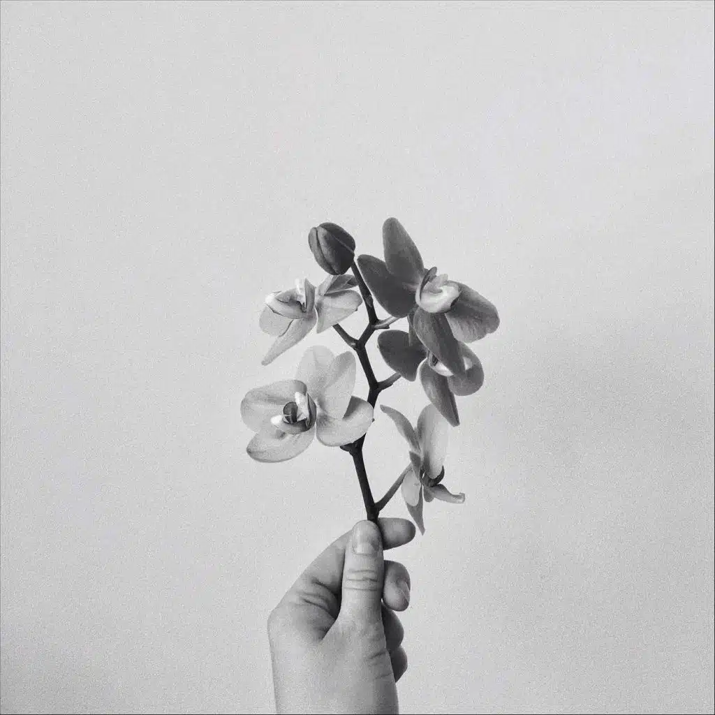 Nostalgia (feat. Sithu Aye, Adieu & Jacob Umansky)