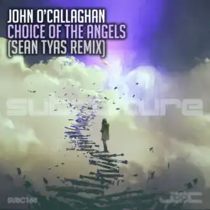 Choice Of The Angels (sean Tyas Remix)