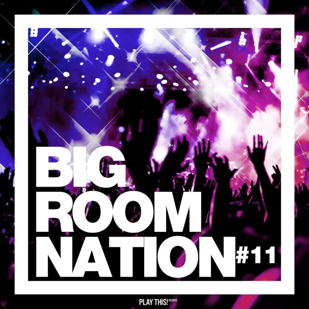 Big Room Nation, Vol. 11