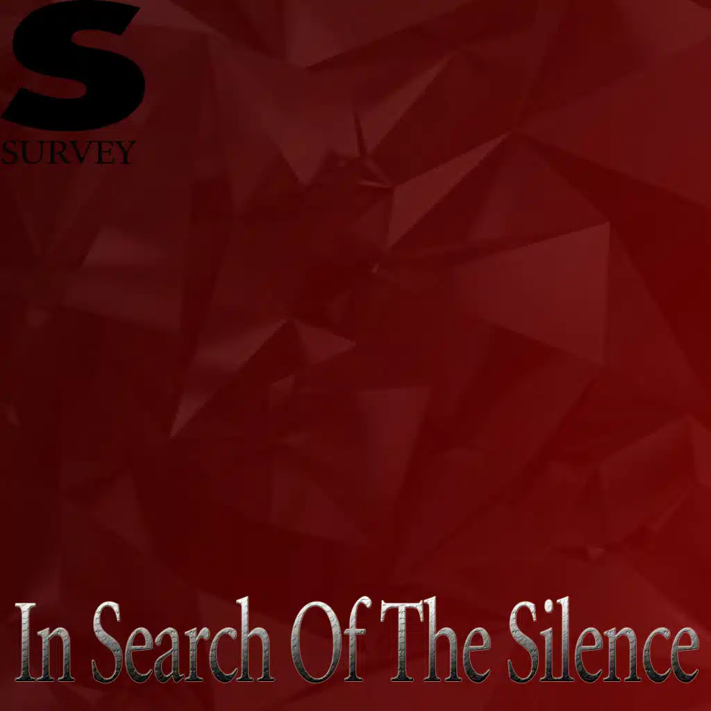 In Search Of The Silence