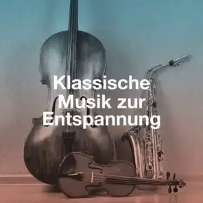Brandenburg Concertos in D Major, BWV 1050: V. Allegro