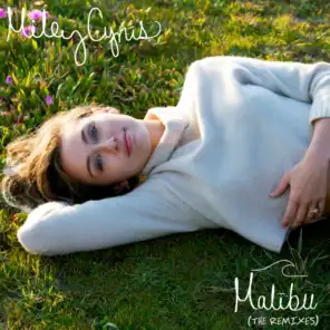 Malibu (Gigamesh Remix)