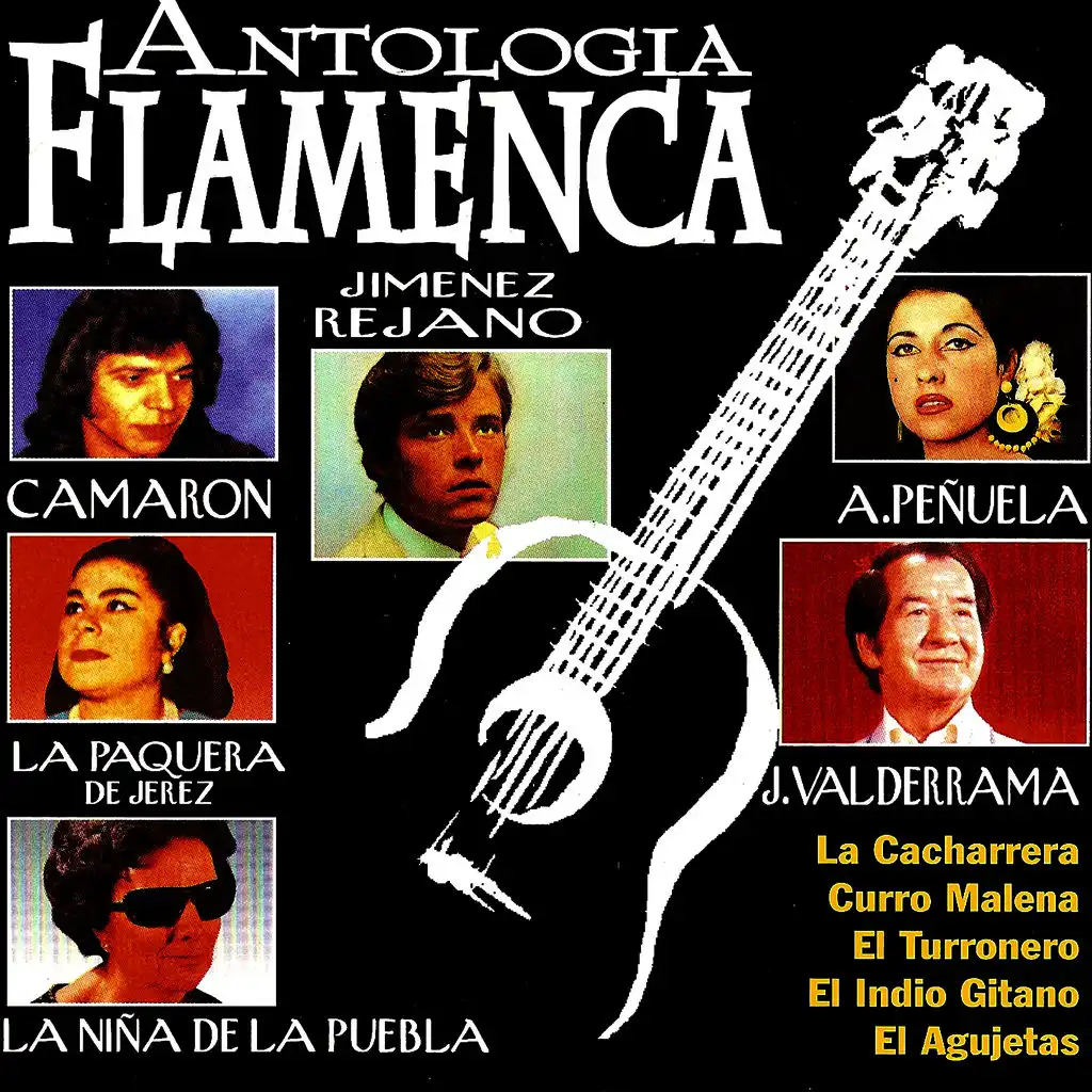 Antologia Flamenca