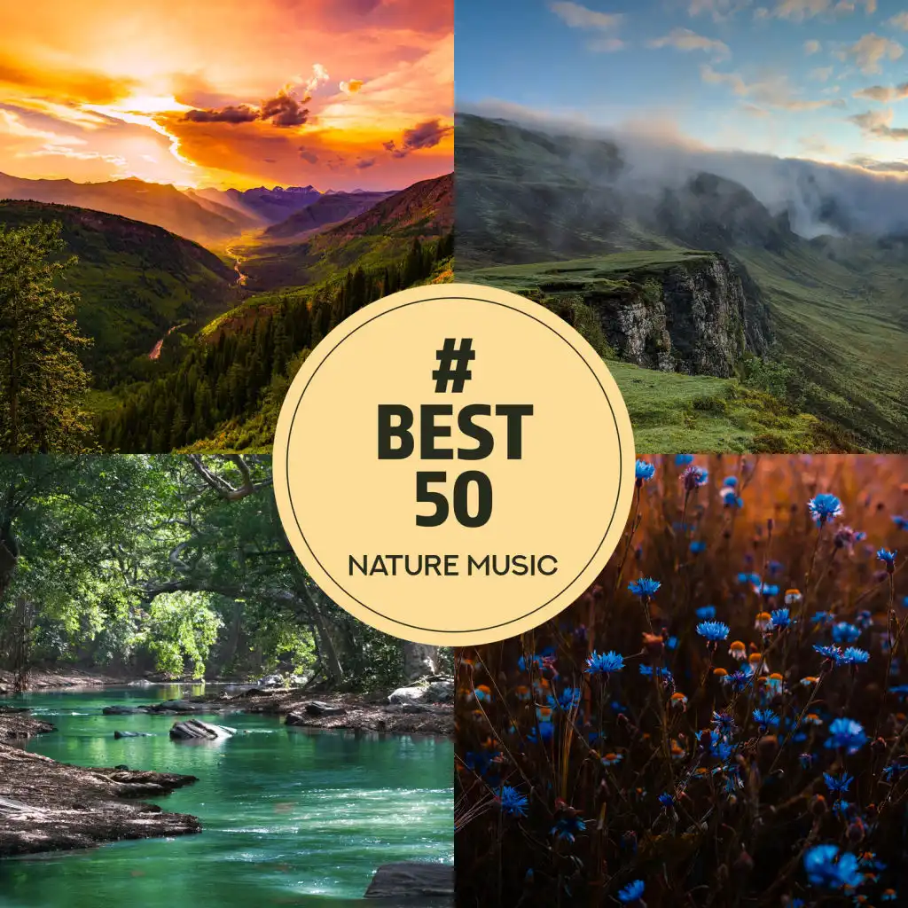 # Best 50: Nature Music, Ambient for Relaxation, Sleep, Meditation & Spa