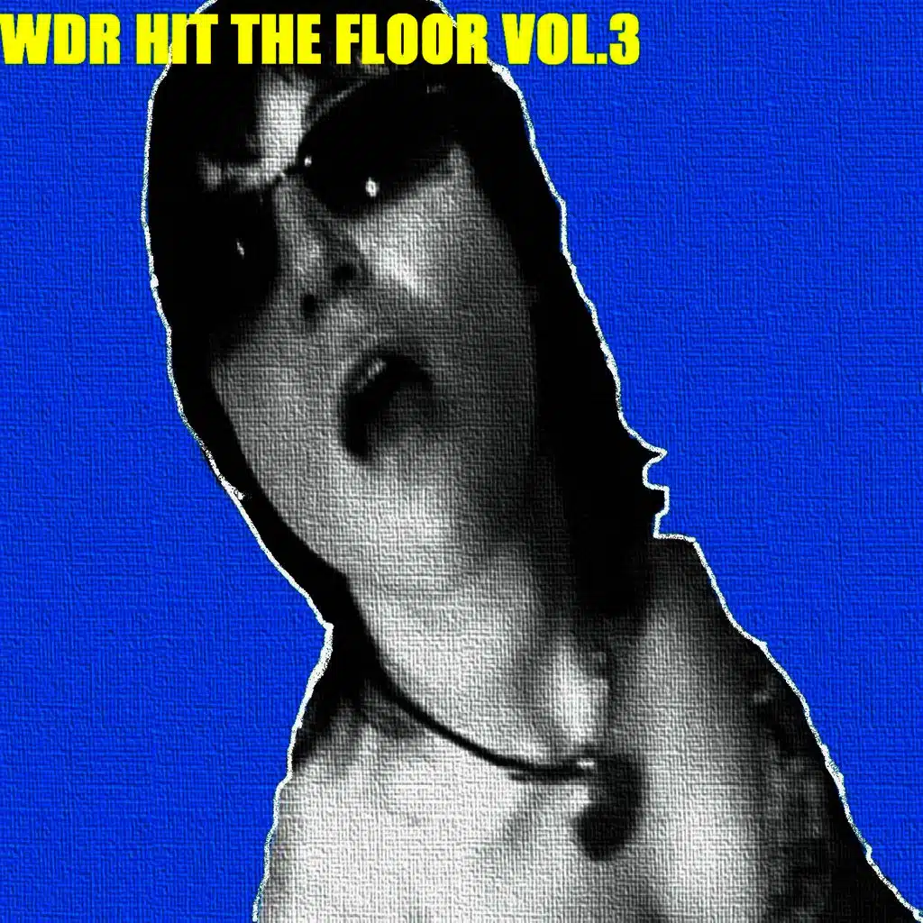 WDR Hit the Floor Vol. 3