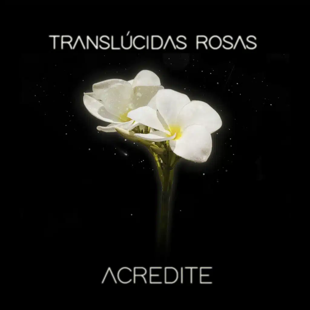 Translúcidas Rosas