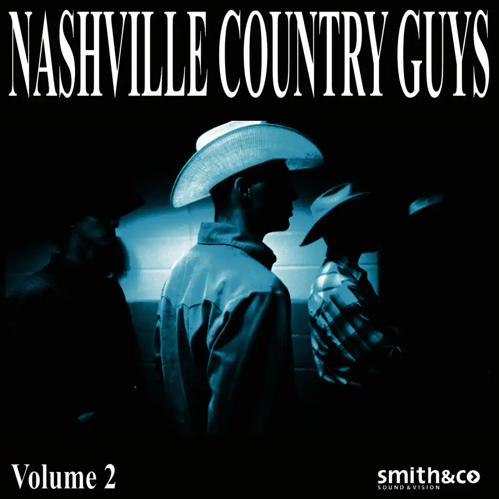 Nashville Country Guys, Volume 2