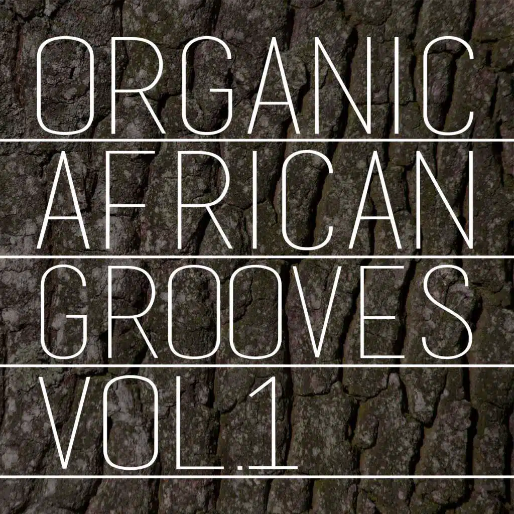 Organic African Grooves, Vol.1