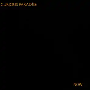 Curious Paradise
