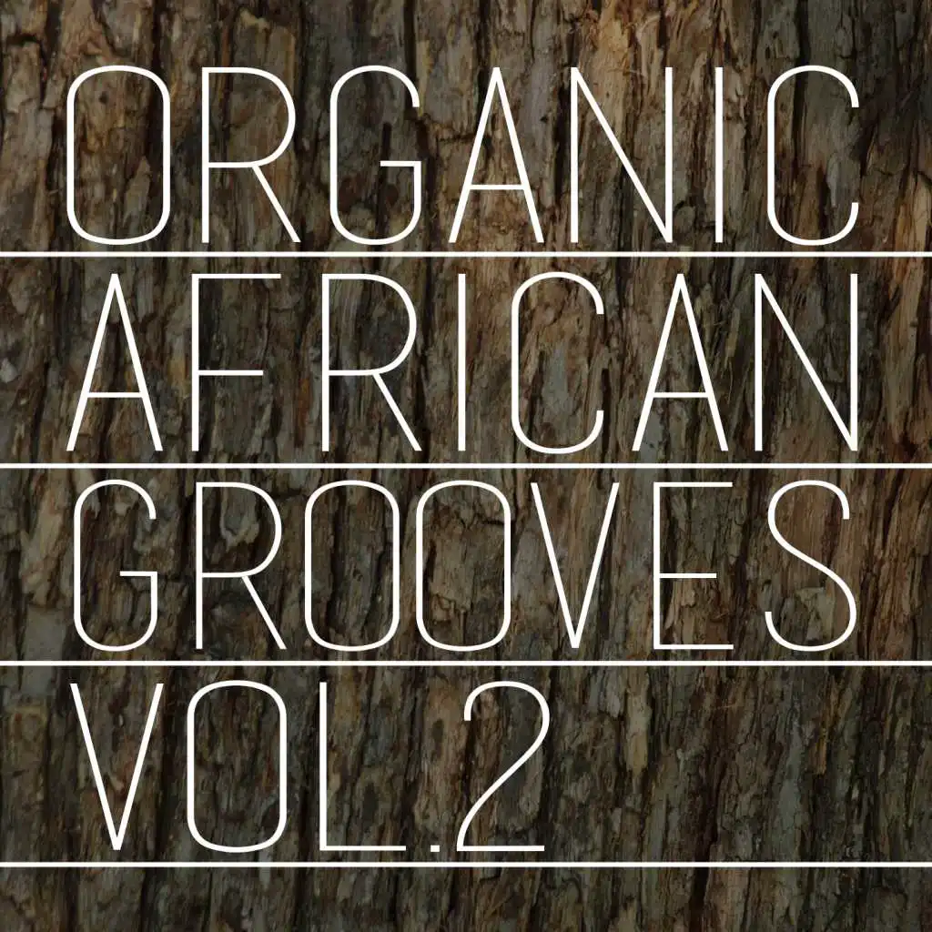 Organic African Grooves, Vol.2