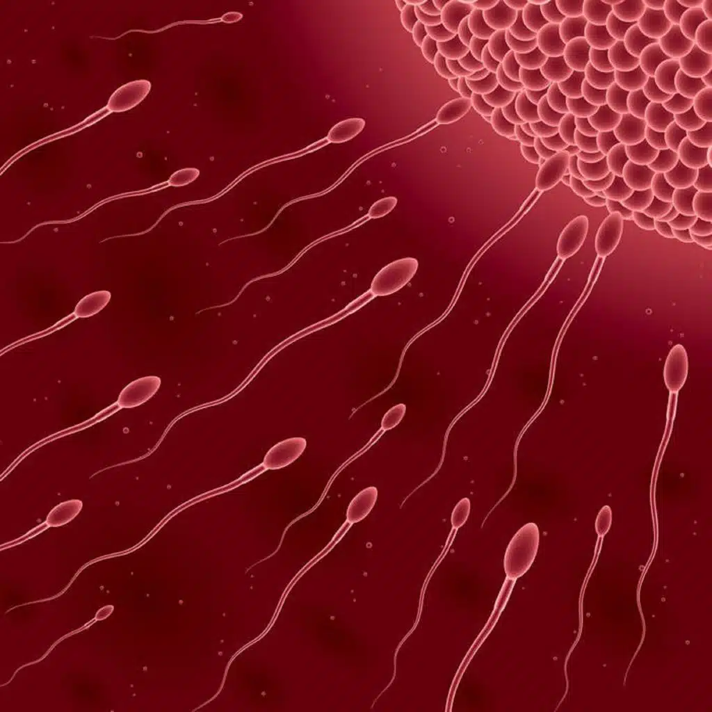 Crime in the Suburbs