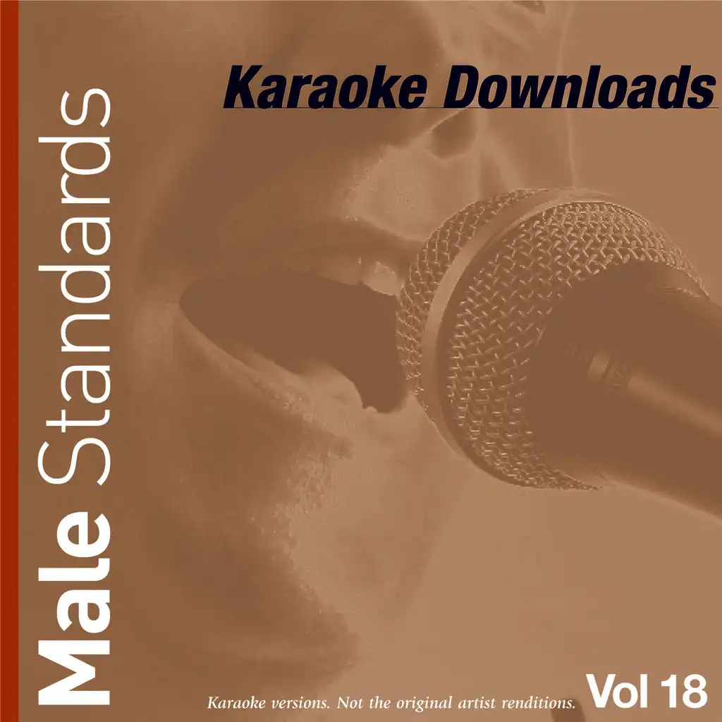 Karaoke Downloads - Male Standards Vol.18