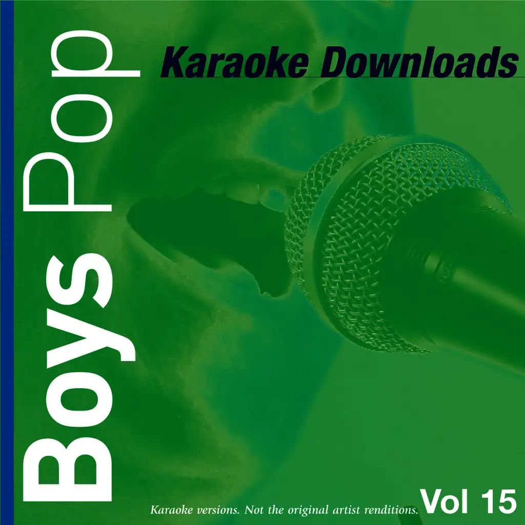 Karaoke Downloads - Boys Pop Vol.15