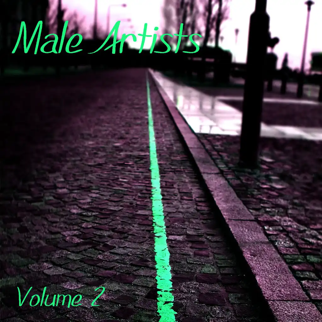 Male Artists Volume 2
