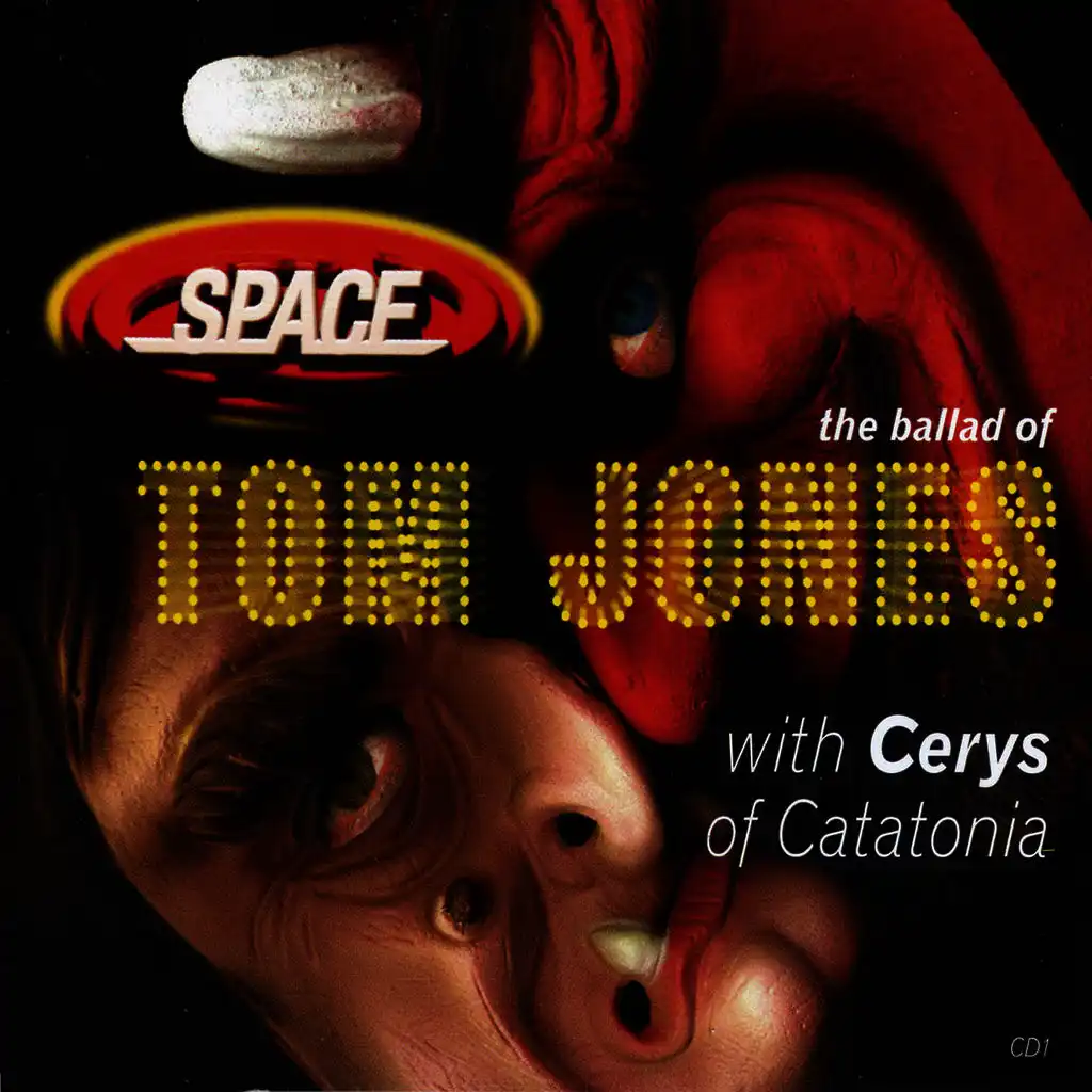 The Ballad Of Tom Jones (Dirty Beatniks Mix)