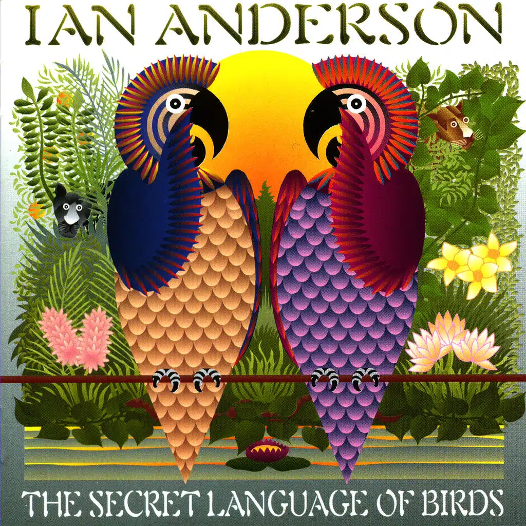 The Secret Language Of Birds