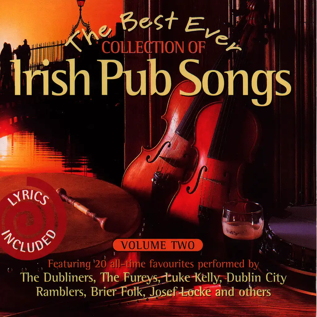 The Best Ever Collection Of Irish Pub Songs - Volume 2