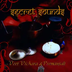 Secret Sounds