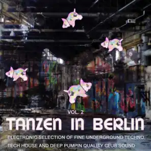 Tanzen in Berlin, Vol. 2: Electronic Selection of Fine Underground Techno