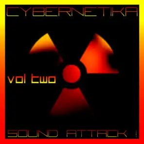 Cybernetika Vol. Two