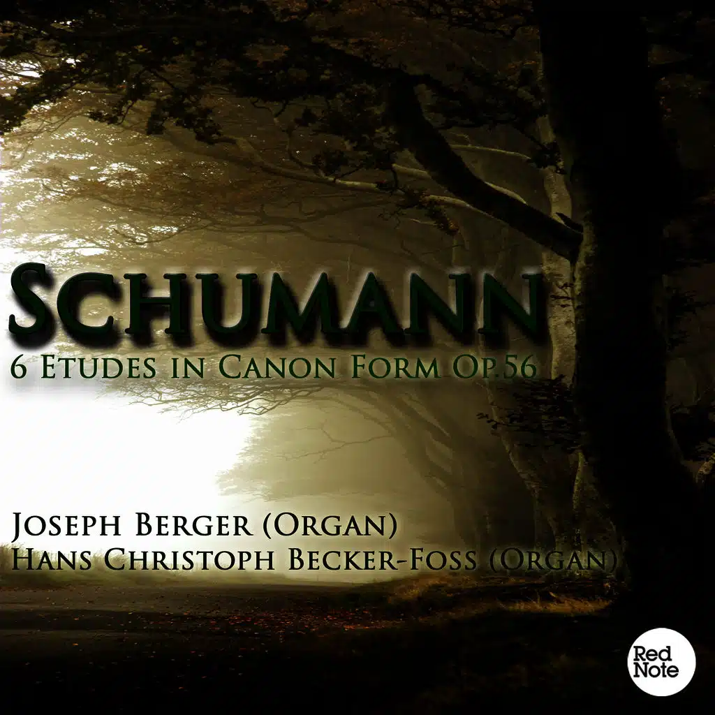 Schumann: 6 Etudes in Canon Form Op.56