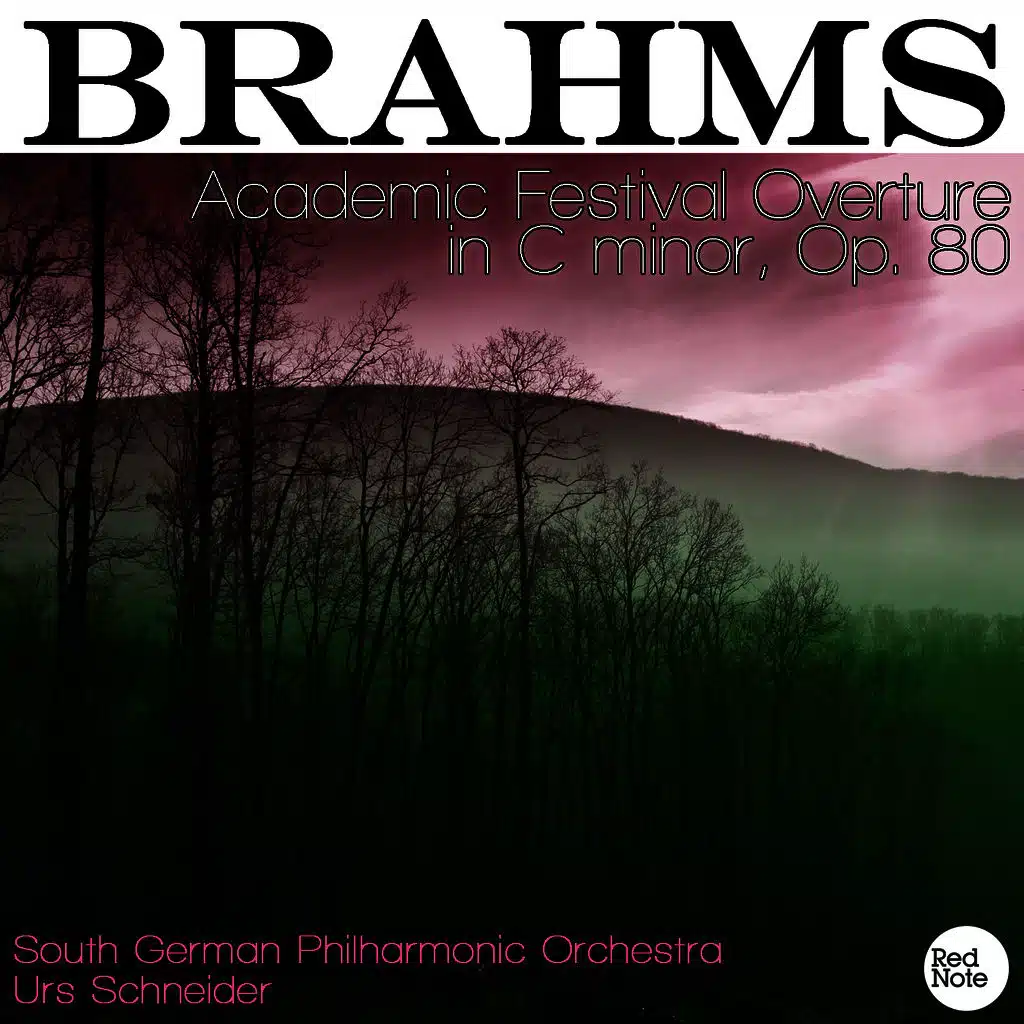 Academic Festival Overture in C minor, Op. 80: Overture: Allegro - Maestoso - Animato - Maestoso
