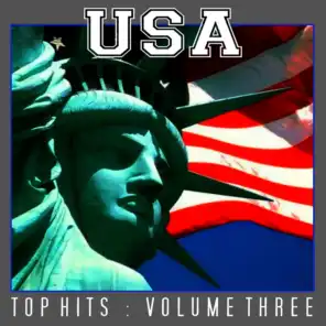 USA Top Hits Vol 3