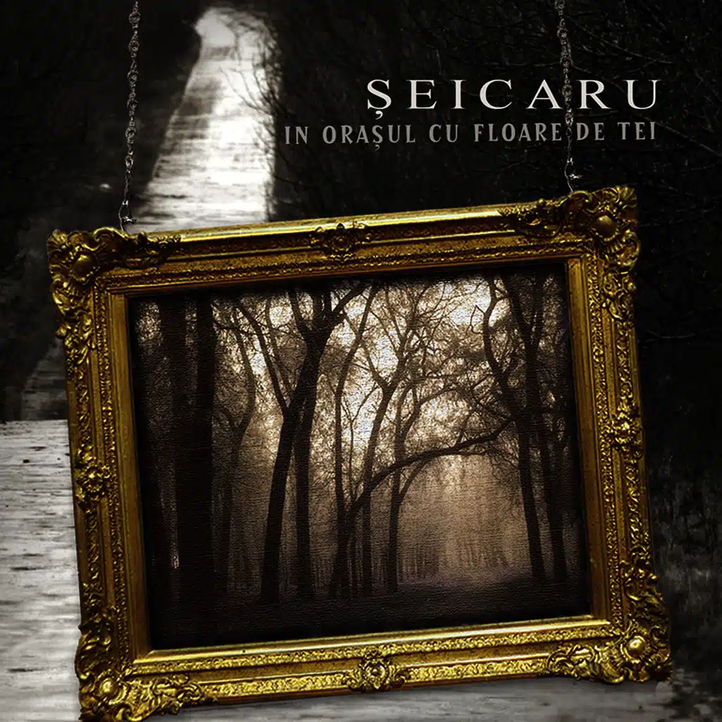 In Orasul Cu Floare De Tei