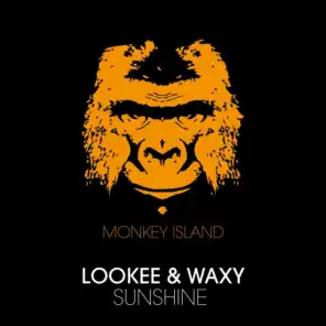 Sunshine (Lokee & Ynot's Radio Edit)