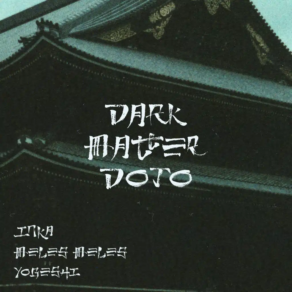 Dark Matter Dojo