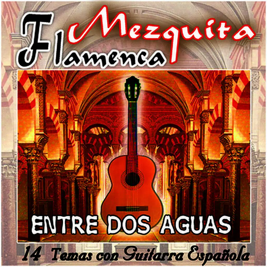 Varios guitarristas flamencos