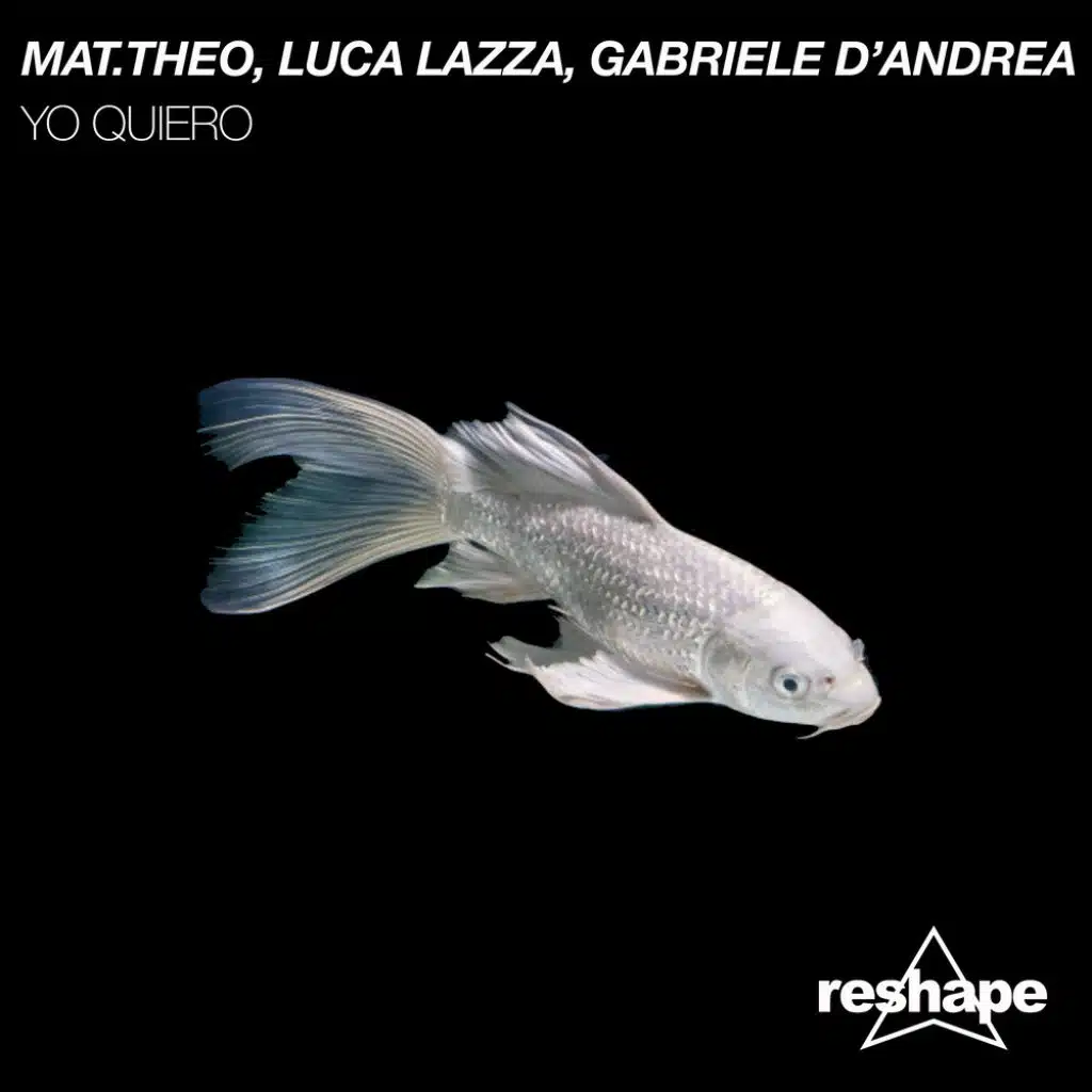 Mat.Theo, Luca Lazza & Gabriele D'Andrea