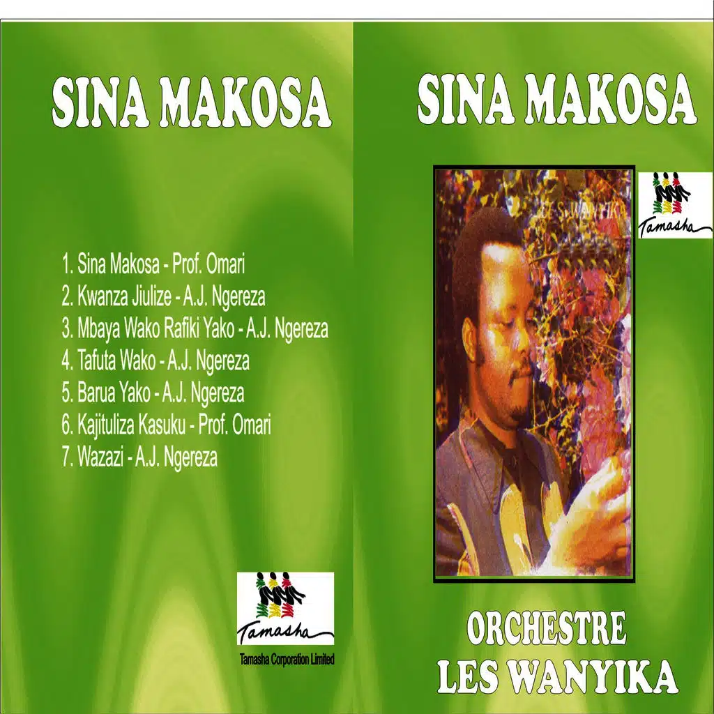 Sina Makosa