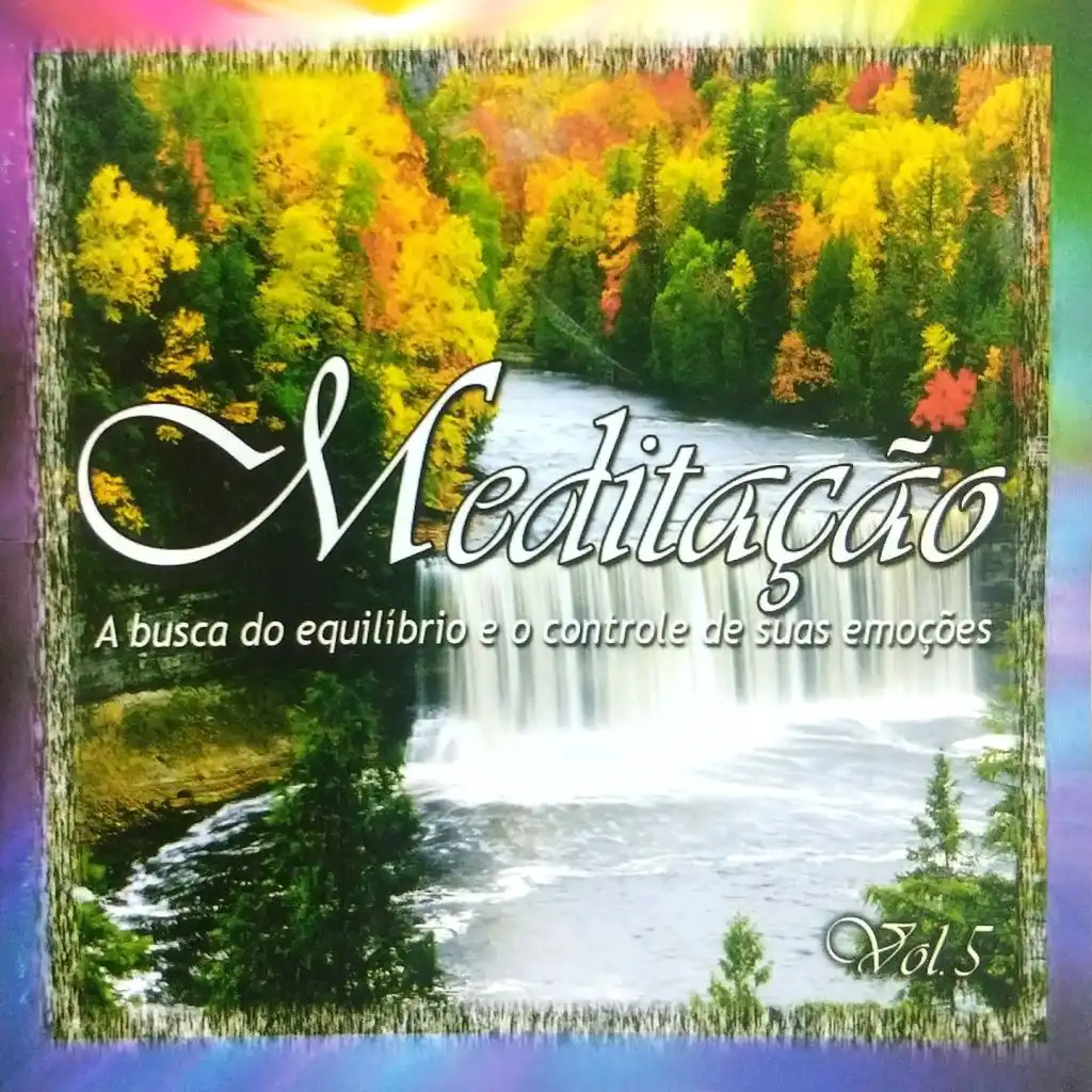 Meditação (A Busca do Equilíbrio e o Controle de suas Emoções - Vol. 5)