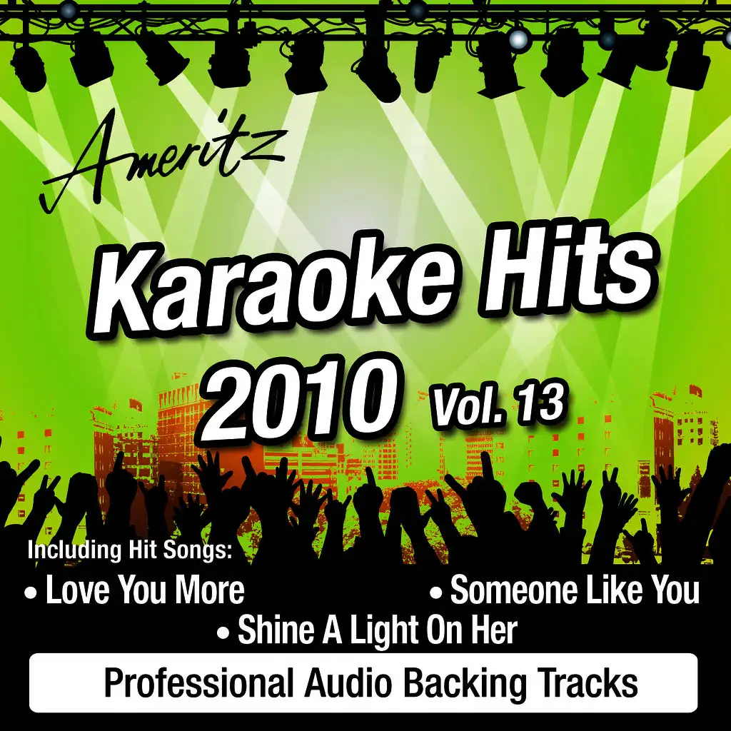 Karaoke Hits 2010  Vol. 13