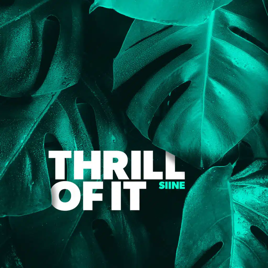 Thrill Of It (feat. Frank Moody)