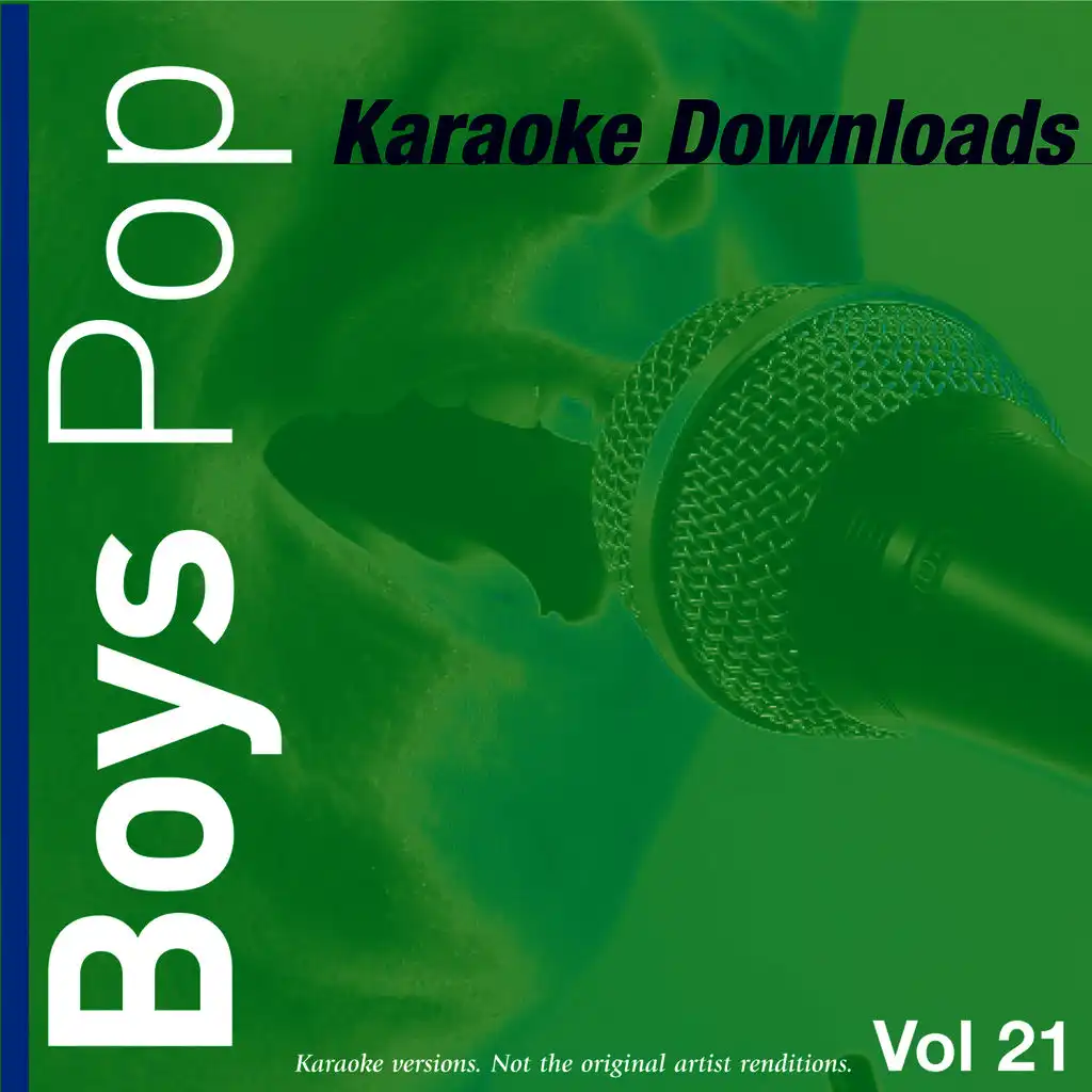 Karaoke Downloads - Boys Pop Vol.21