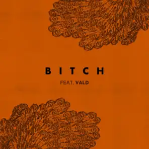 Bitch (feat. Vald)