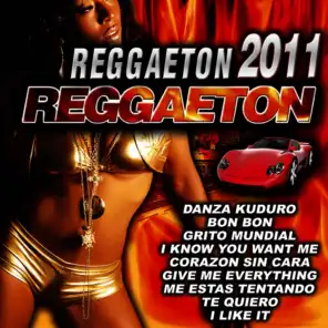 Reggaeton 2011