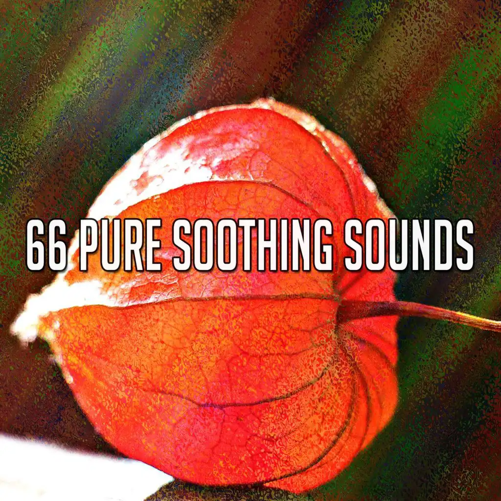 66 Pure Soothing Sounds