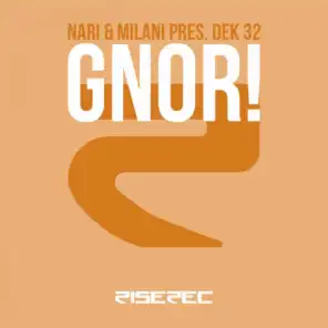 Gnor! (Jason Rooney Remix)