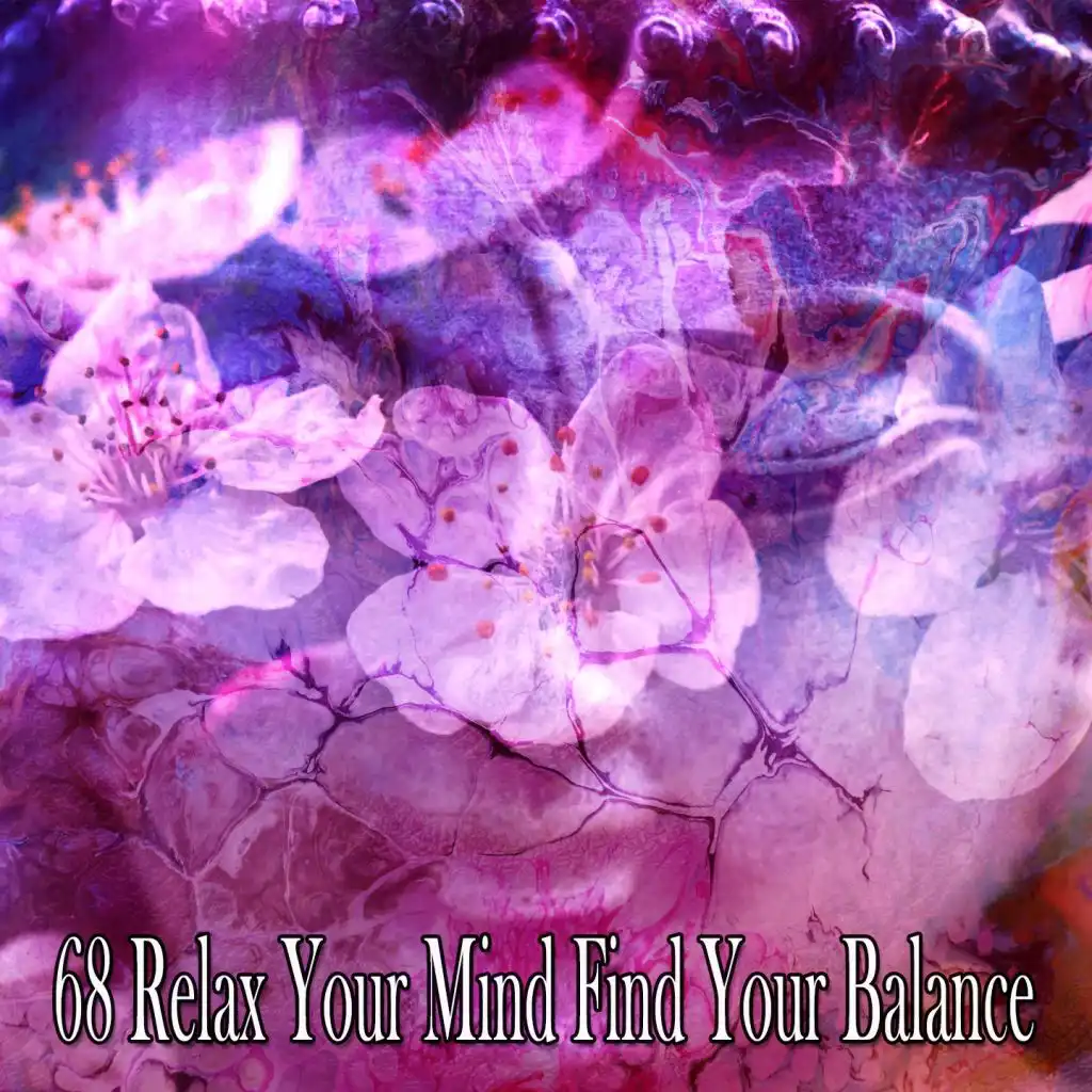 68 Relax Your Mind Find Your Balance