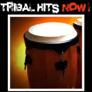 Tribal Hits Now !