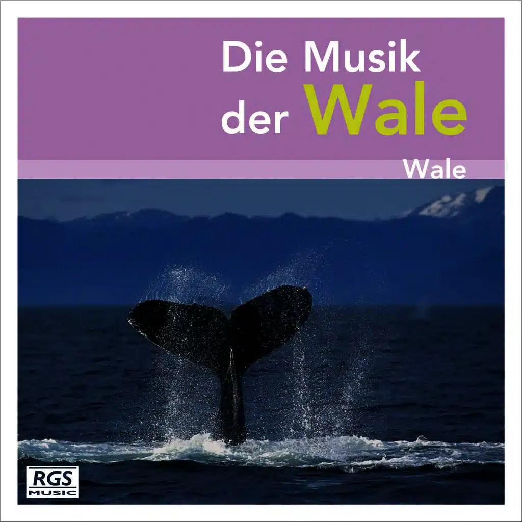 Die Musik Der Wale