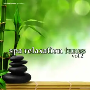SPA Relaxation Tunes Vol.2