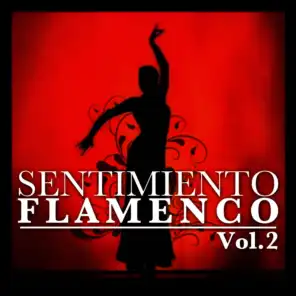 Sentimiento Flamenco Vol.2