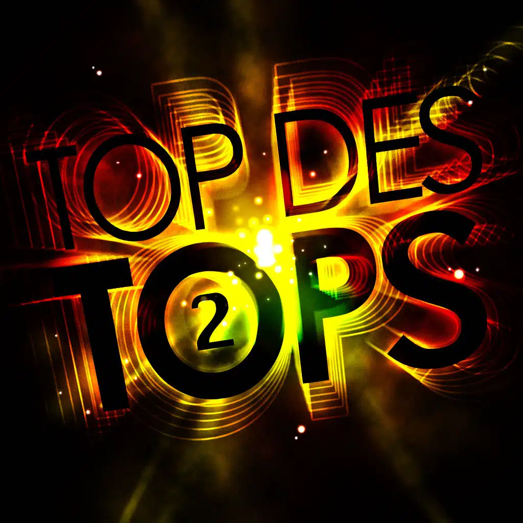 Top Des Tops Vol. 2