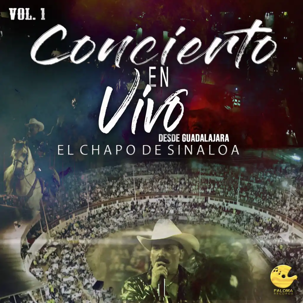 Concierto En Vivo Desde Guadalajara, Vol. 1