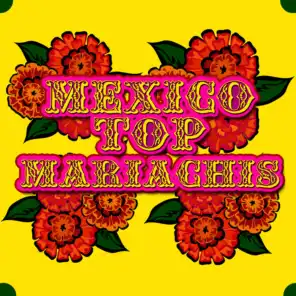 Mexico Top Mariachis